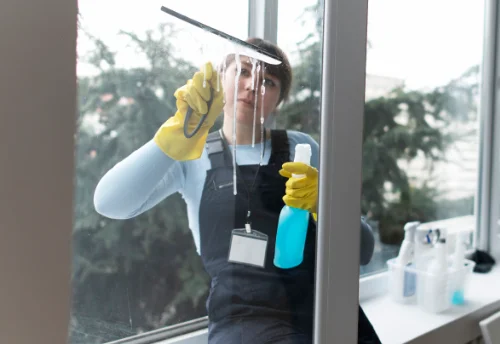 Nettoyage de vitres intérieures et extérieures à Taissy
